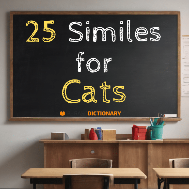 25 Similes for Cats