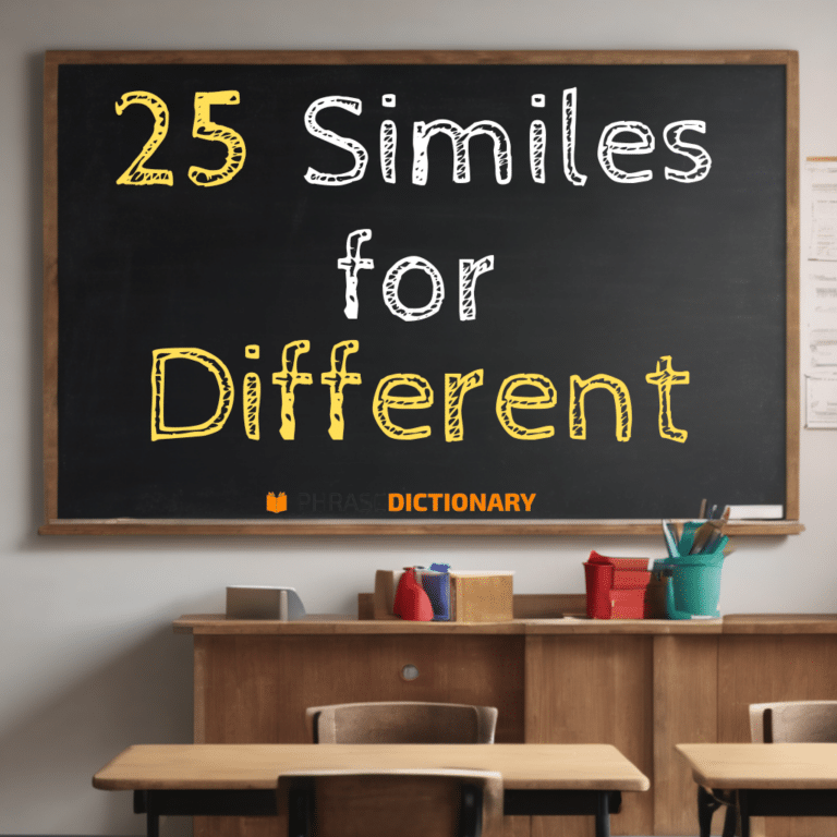 AS DIFFERENT AS EXAMPLES visual data 8