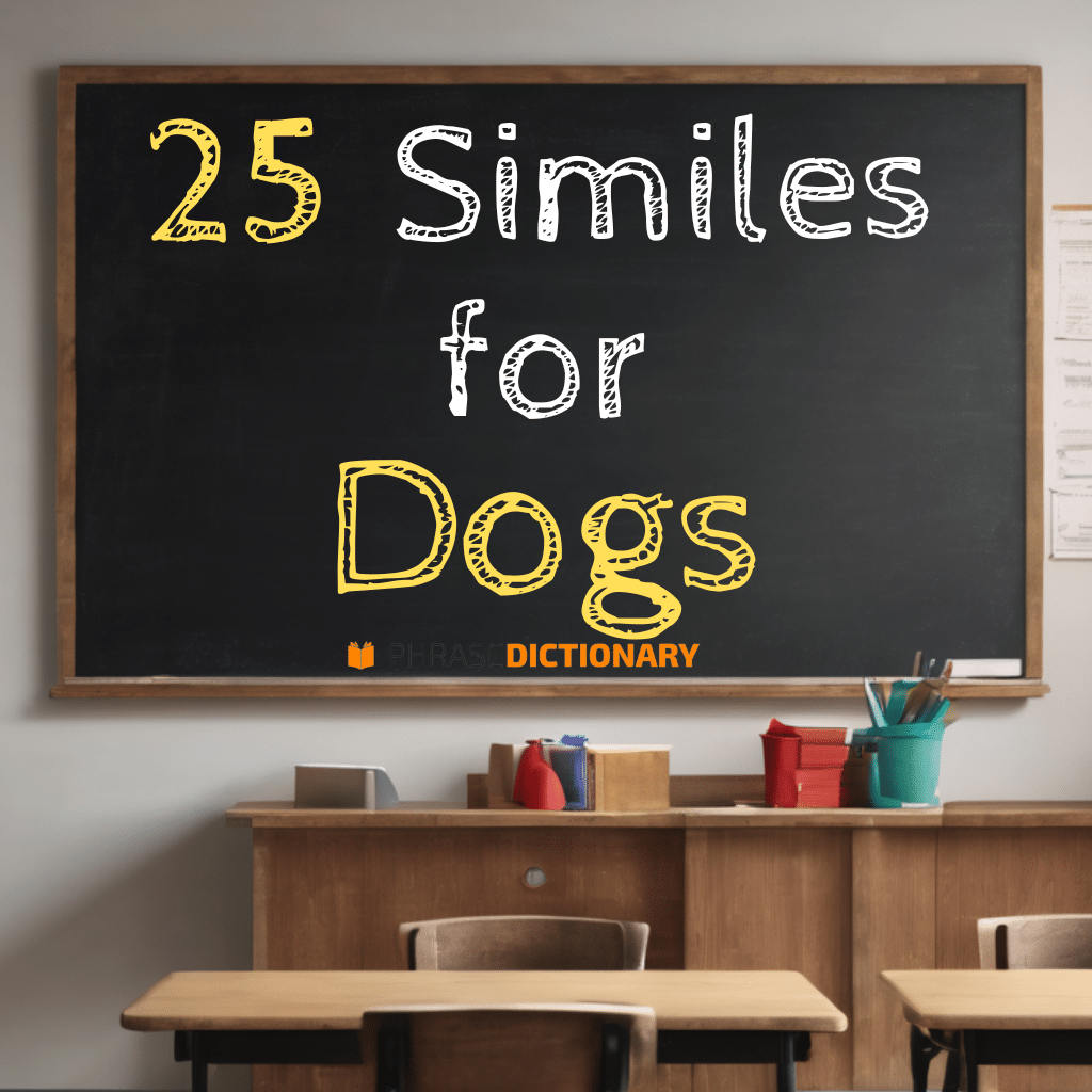 25 similes for dogs