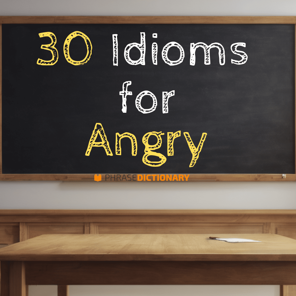 30 idioms for angry